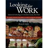 Looking for Work : Industrial Archeology in Columbia County, New York: the Emergency and Growth of Local Industry as Revealed in Surviving Sites and Structures