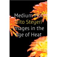 Medium Hot Images in The Age of Heat book cover, ISBN 9781804298022