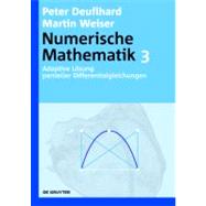 Numerische Matematik 3