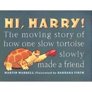 Hi, Harry! : The Moving Story of How One Slow Tortoise Slowly Made a Friend