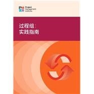 Process Groups: A Practice Guide (SIMPLIFIED CHINESE)