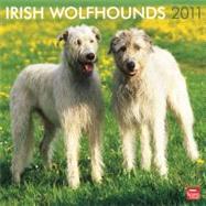 Irish Wolfhounds 2011 Calendar