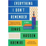 Everything I Don't Remember A Novel