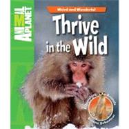Weird and Wonderful: Thrive in the Wild