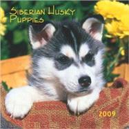 Siberian Husky Puppies 2009 Calendar