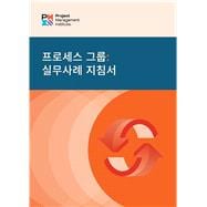 Process Groups: A Practice Guide (KOREAN)