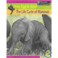 The Life Cycle of Mammals