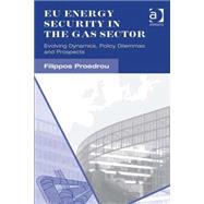 EU Energy Security in the Gas Sector: Evolving Dynamics, Policy Dilemmas and Prospects