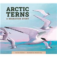 Arctic Terns A Migration Story