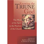 Knowing the Triune God : The Work of the Spirit in the Practices of the Church