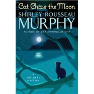 Cat Chase the Moon