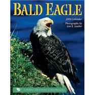 Bald Eagle 2004 Calendar
