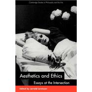 Aesthetics and Ethics: Essays at the Intersection