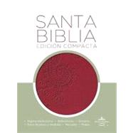Holy Bible / Santa Biblia