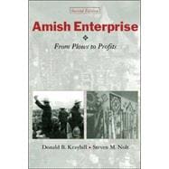 Amish Enterprise