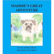 Maddie's Great Adventure