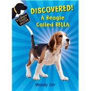 DISCOVERED! A Beagle Called Bella