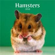 Hamsters 2010 Calendar