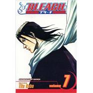 Bleach, Vol. 7