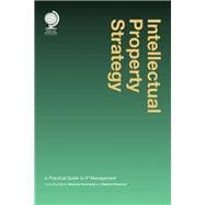 Intellectual Property Strategy A Practical Guide to IP Management