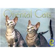 Oriental Cats 2006 Calendar