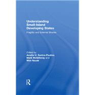 Understanding Small-Island Developing States