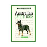 A New Owner's Guide to Australian Cattle Dogs