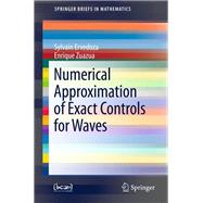 Numerical Approximation of Exact Controls for Waves