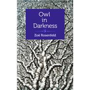 Owl in Darkness