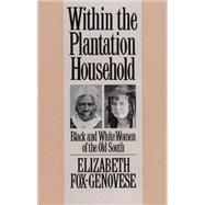 Within the Plantation Household : Black and White Women of the Old South