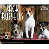 Just Jack Russells 2005 Calendar