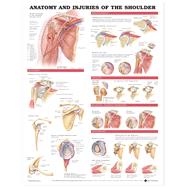 Anatomy and Injuries of the Shoulder Anatomical Chart