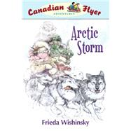 Canadian Flyer Adventures #16: Arctic Storm