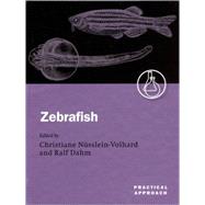 Zebrafish A Practical Approach