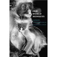 Old World Monkeys