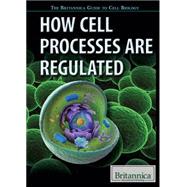 How Cell Processes Are Regulated