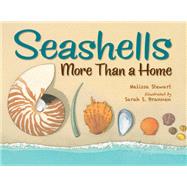 Seashells More Than a Home