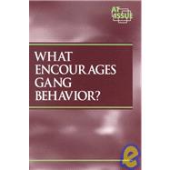 What Encourages Gang Behavior?