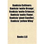 Banksia Cultivars : Banksia 'waite Orange', Banksia 'waite Crimson', Banksia 'waite Flame', Banksia 'giant Candles', Banksia 'yellow Wing'
