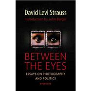 Between the Eyes : Essays on Photography and Politics
