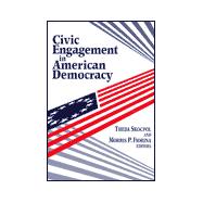 Civic Engagement in American Democracy