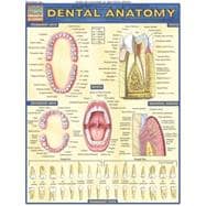 Dental Anatomy Barchart