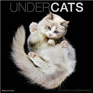 Undercats 2018 Calendar