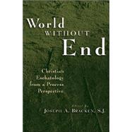 World Without End : Christian Eschatology from a Process Perspective