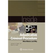 Inside Adjudicative Criminal Procedure What Matters and Why