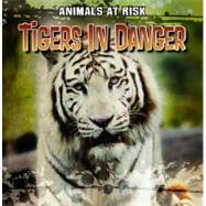 Tigers in Danger