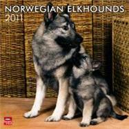 Norwegian Elkhounds 2011 Calendar