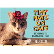 Tiny Hats on Cats Because Every Cat Deserves to Feel Fancy