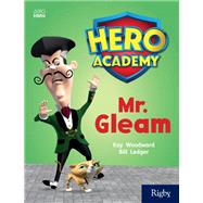 Mr Gleam