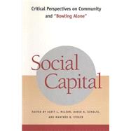 Social Capital : Critical Perspectives on Community and Bowling Alone